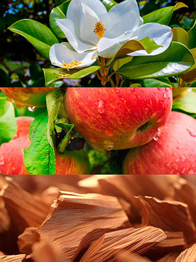 Fruit - Image 3