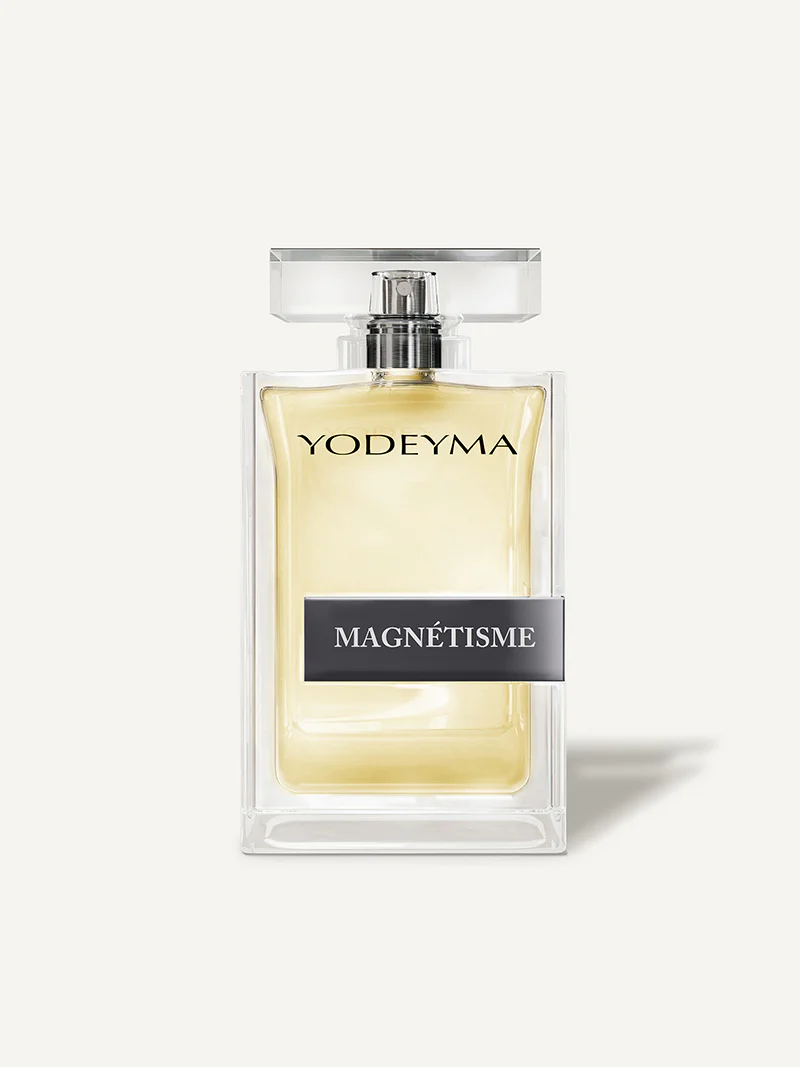Magnetisme