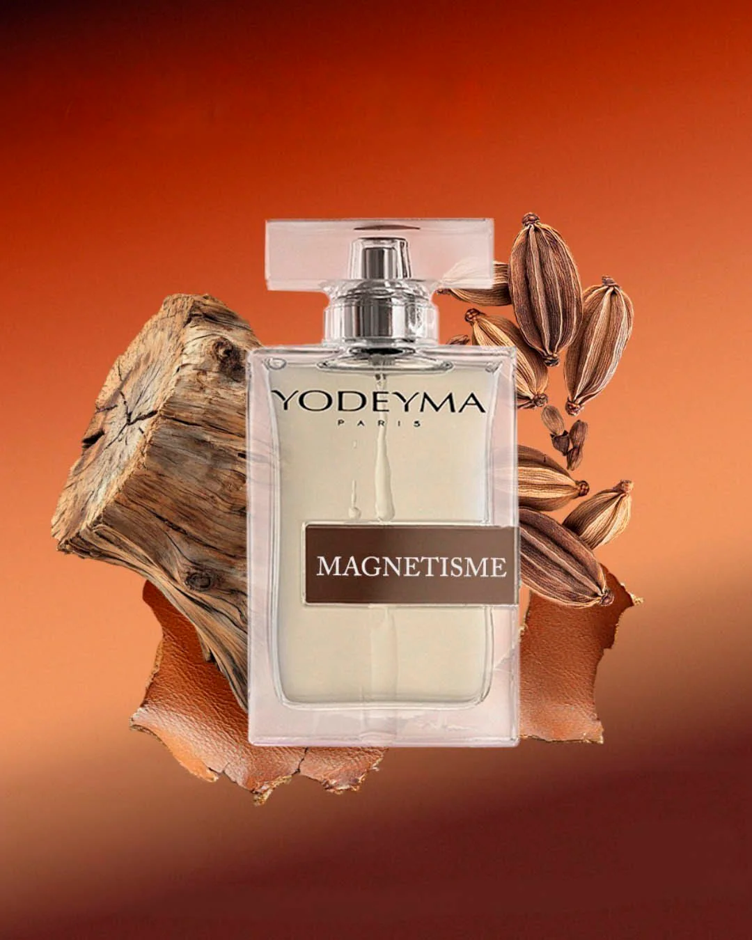 Magnétisme - Image 2