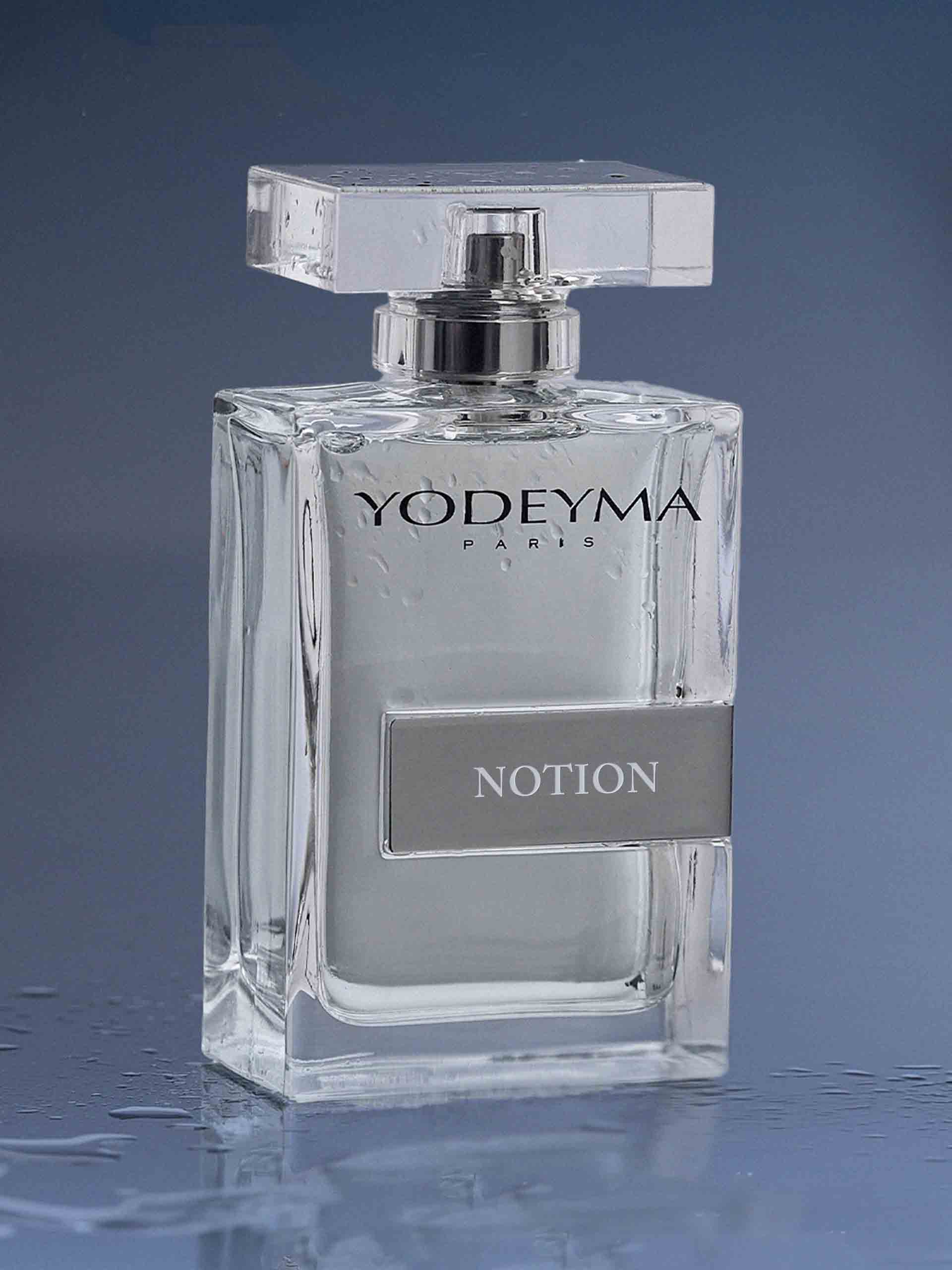 Notion - Image 2
