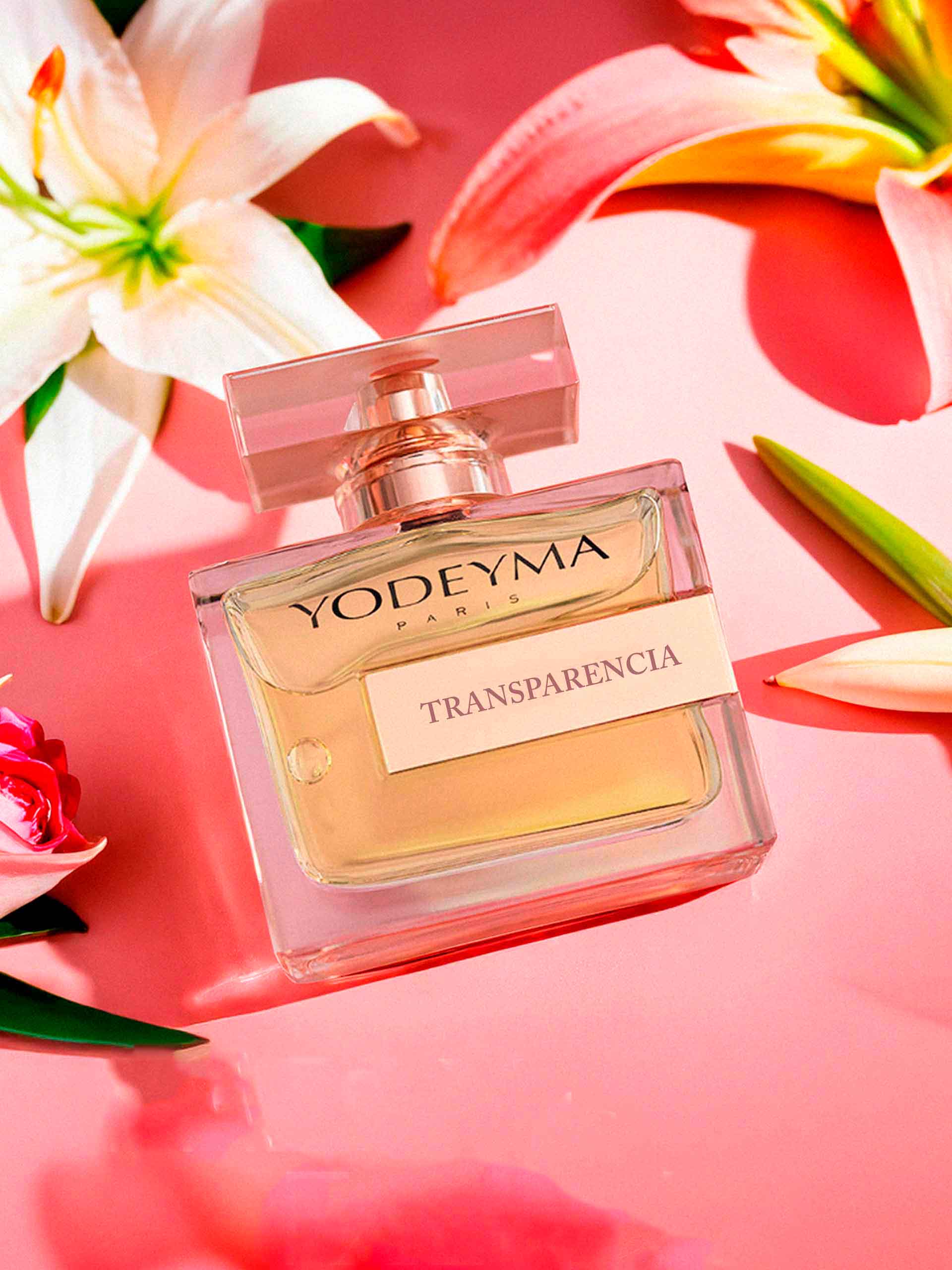 Transparencia - Image 2