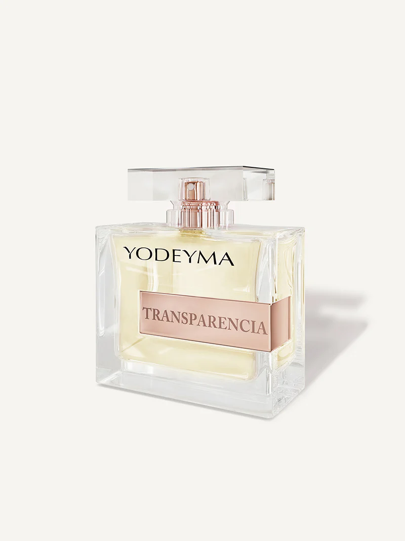 Transparencia - Image 4