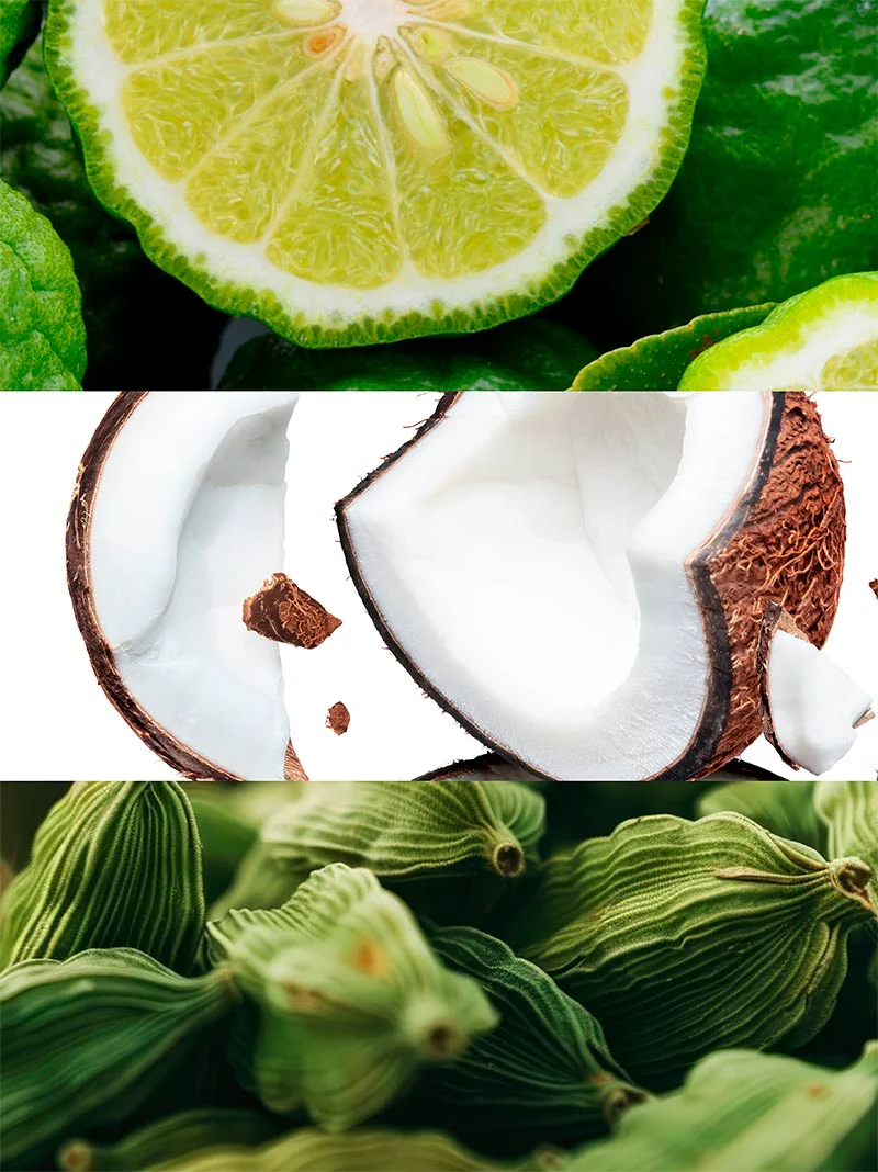 White Summer - Image 3