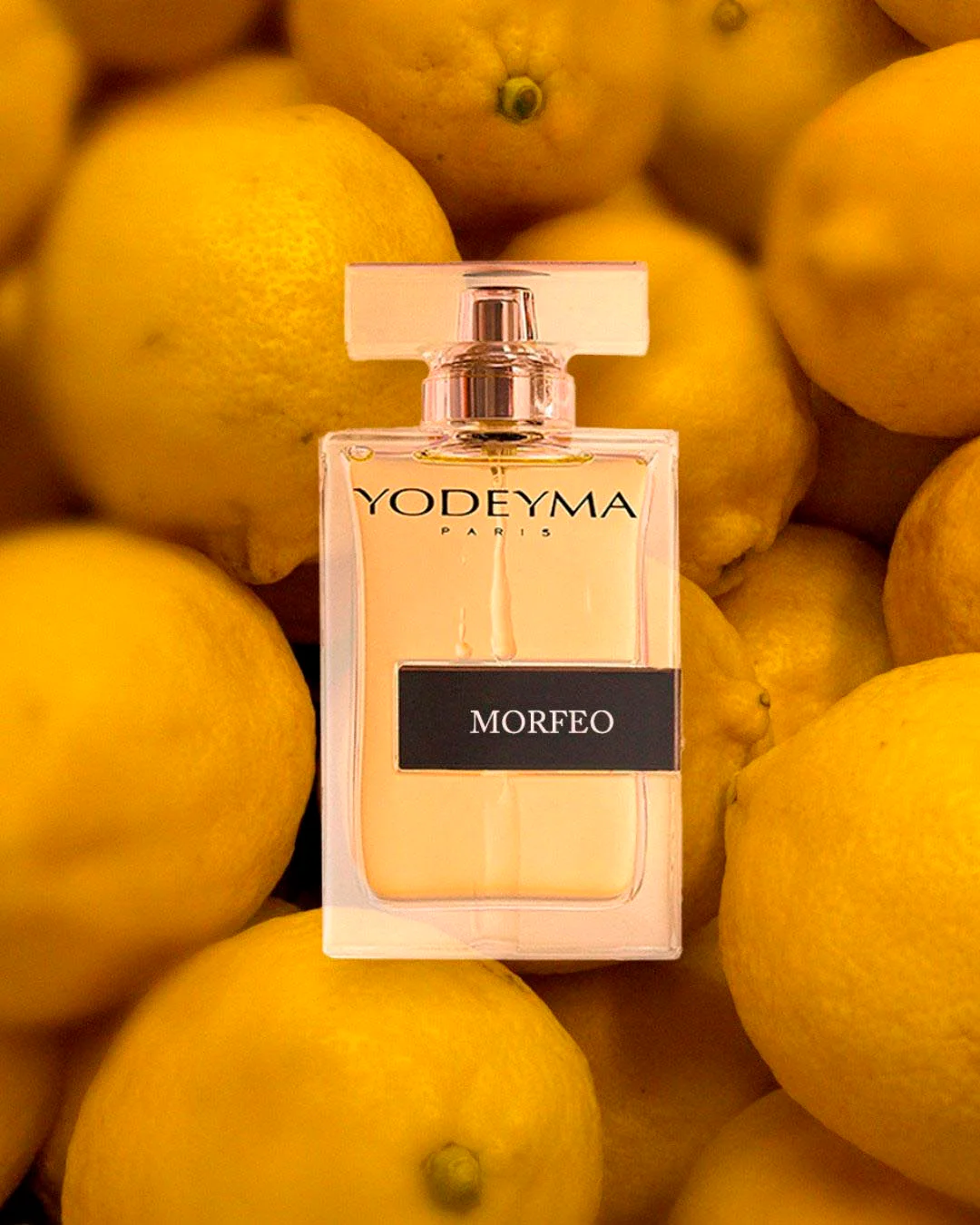 Morfeo - Image 2