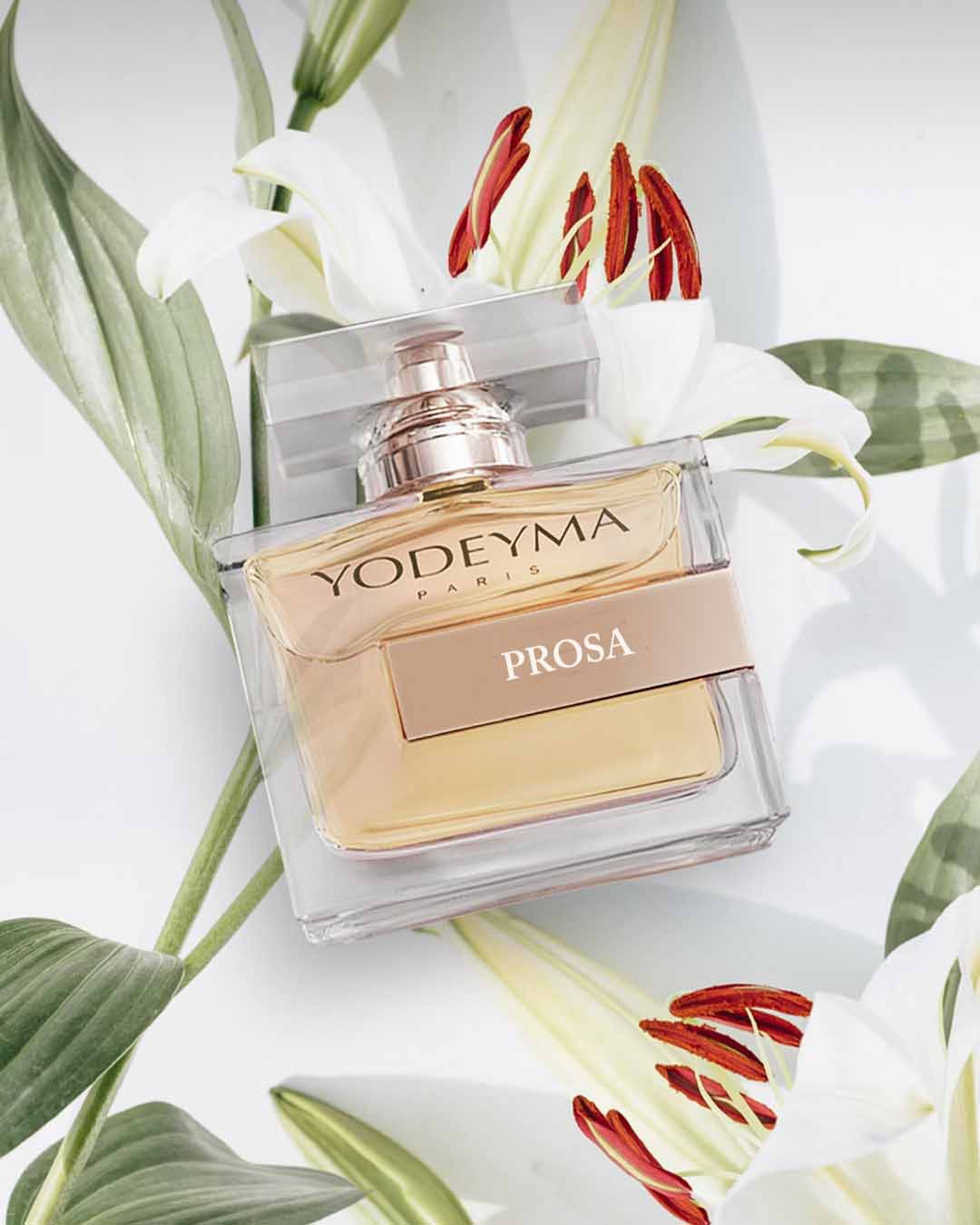 Prosa - Image 2