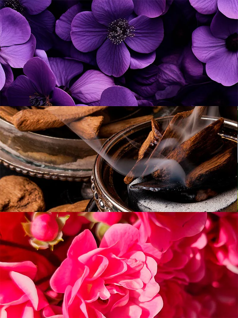 Silk Elixir - Image 3