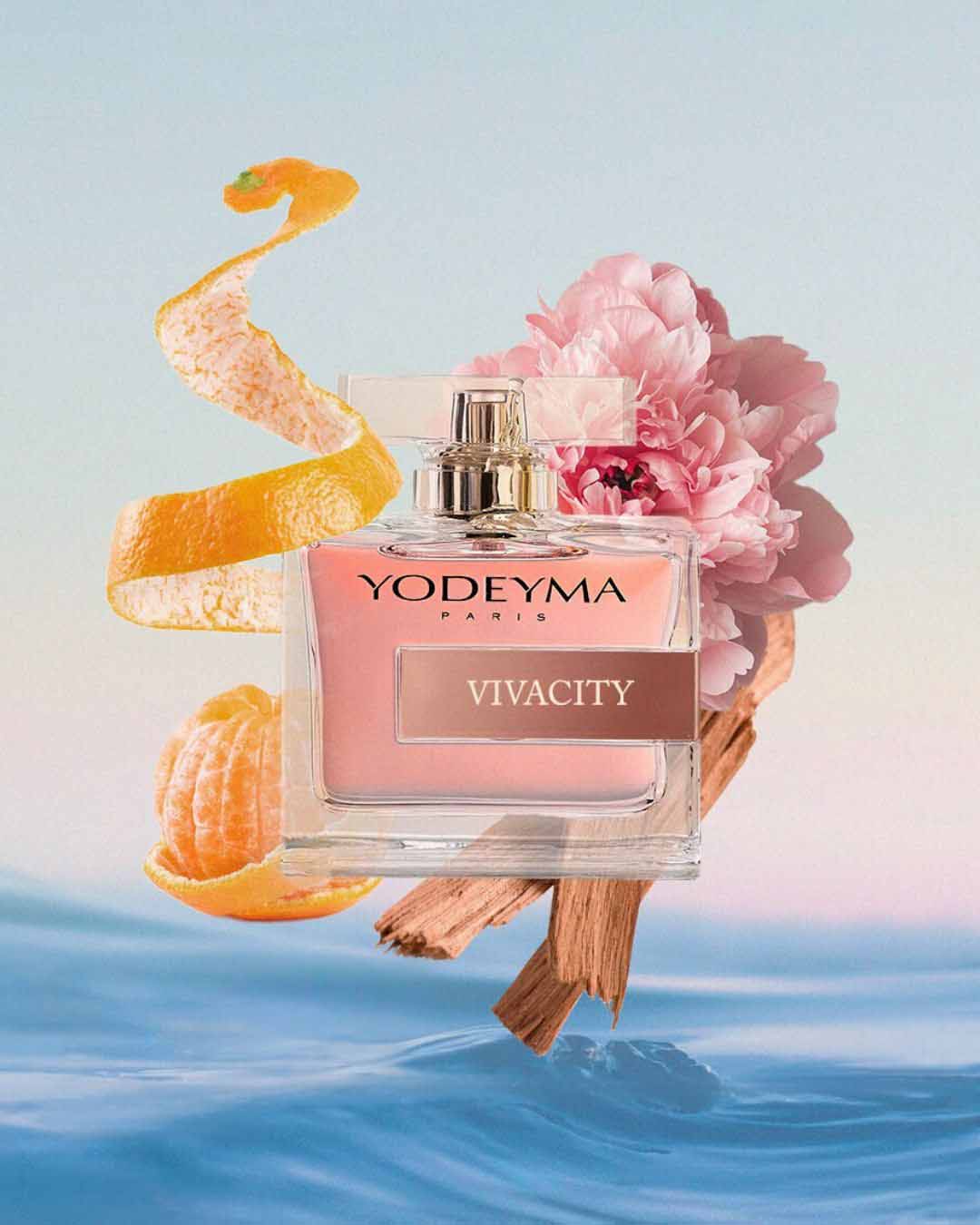 Vivacity - Image 2