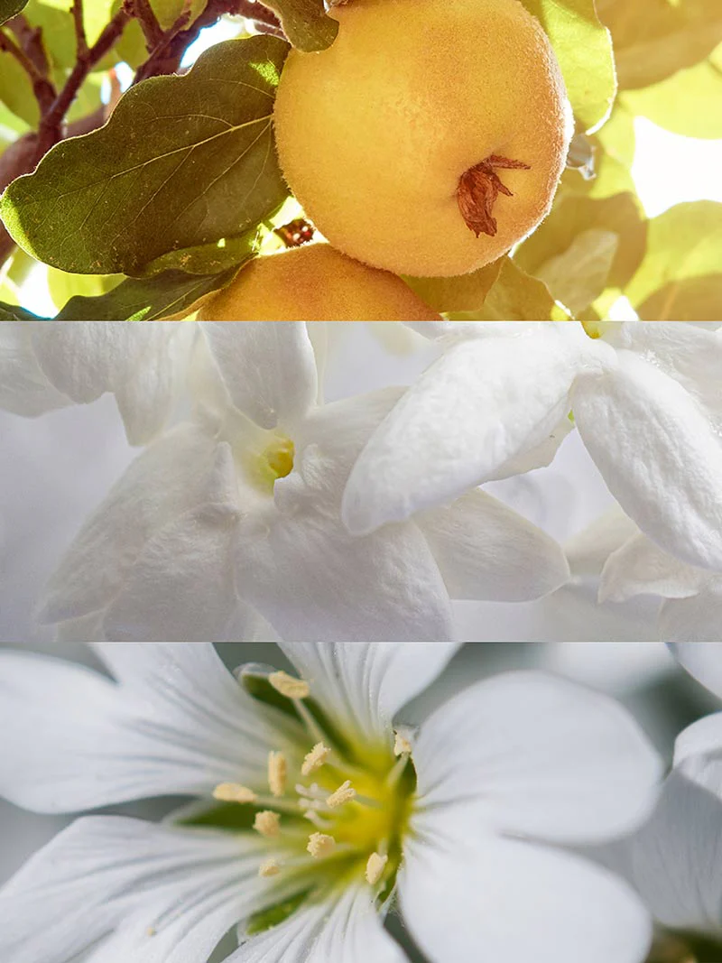 For You - Image 3