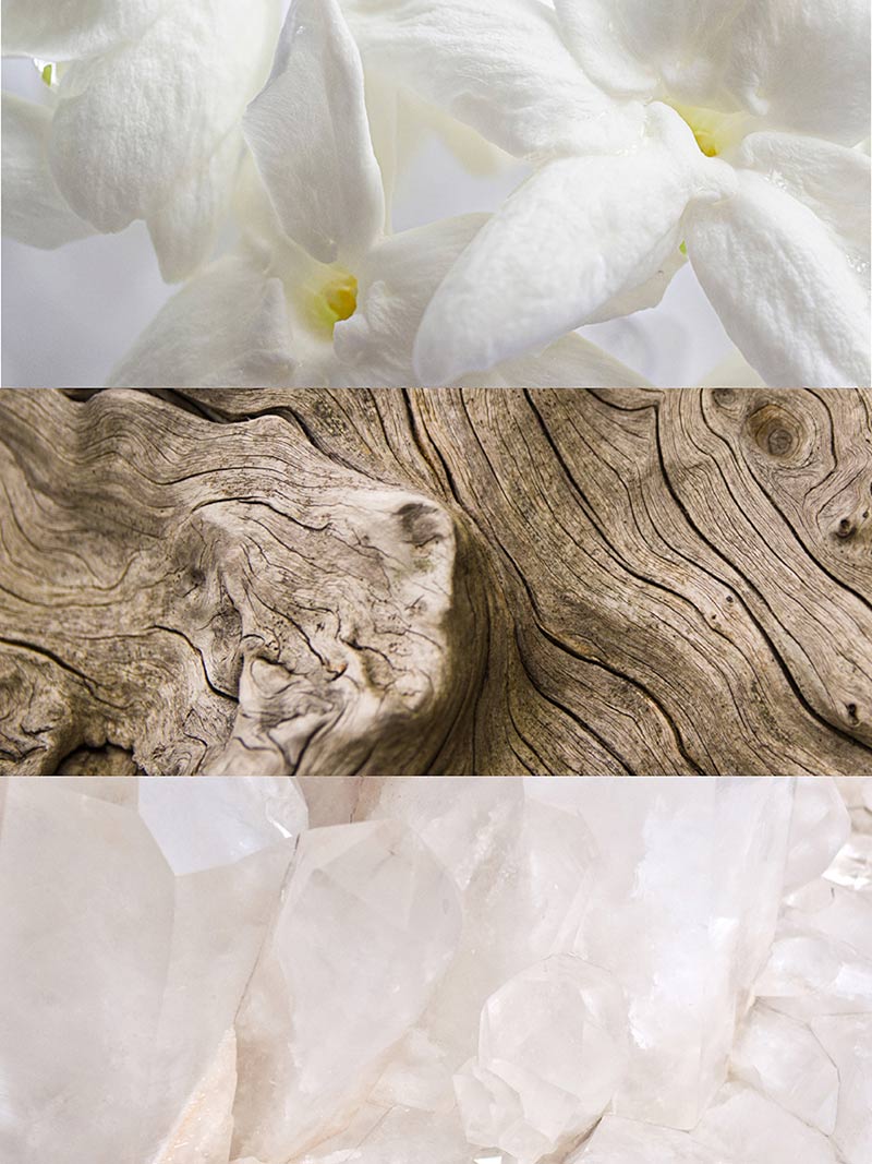 Iris - Image 3