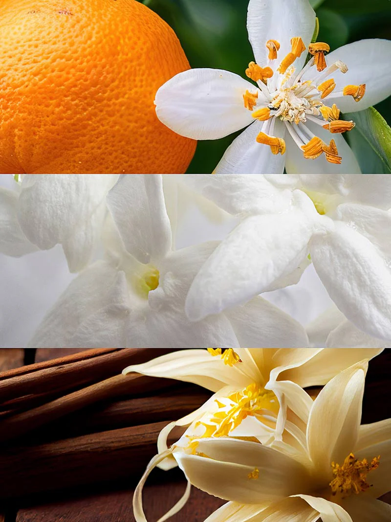 Mía - Image 3