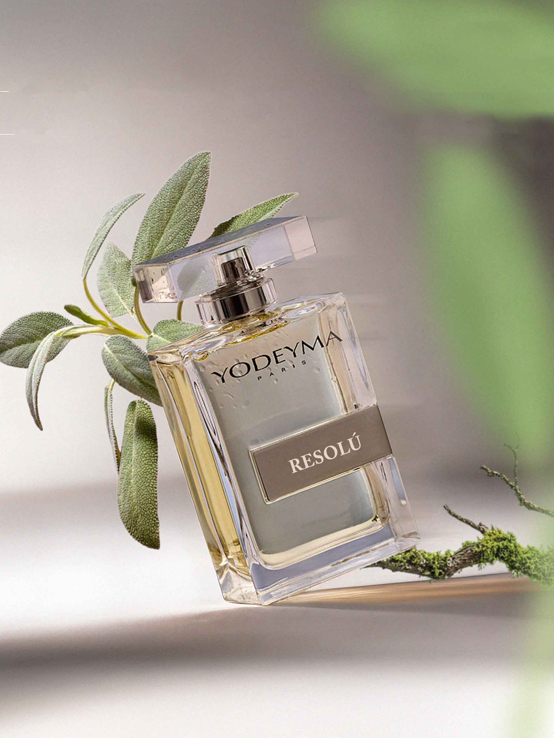 Résolu - Image 2