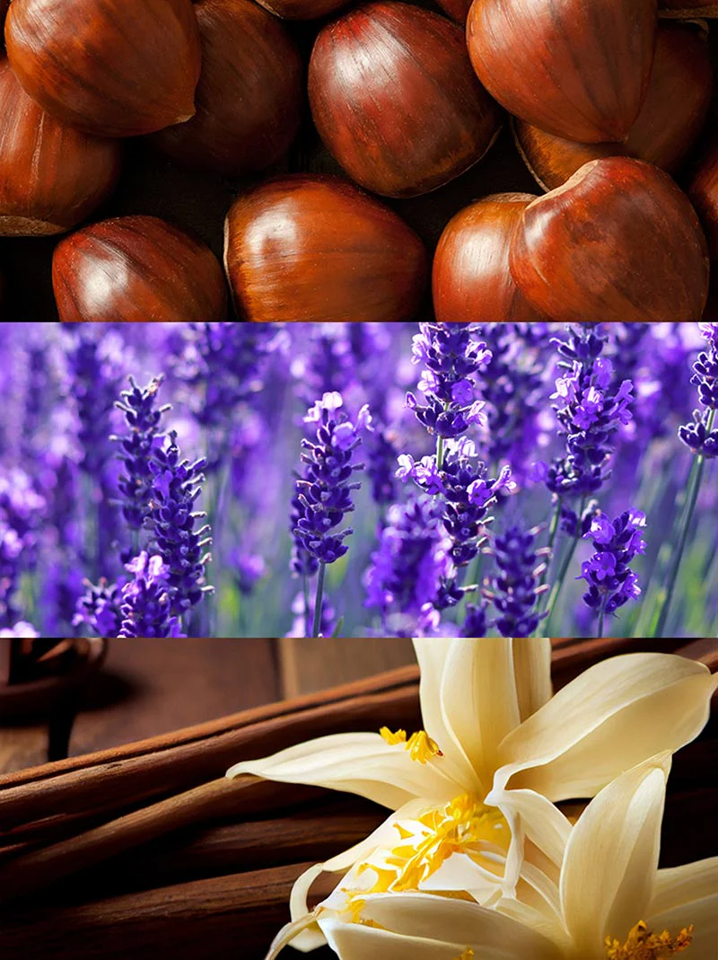 Wow Scent - Image 3